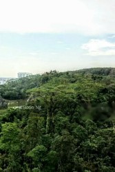 Regent Heights (D23), Condominium #182068172